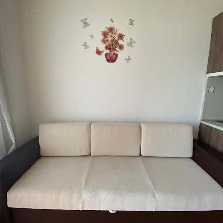 Sunny Day 5 - 251 Studio Apartment *